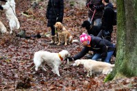 /album/fotogalerie/elsa-jeste-jeden-aport-klacku-jpg1/